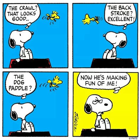 Pin By Suzie Mac Kenzie On Funniesquotes Snoopy Comics Snoopy