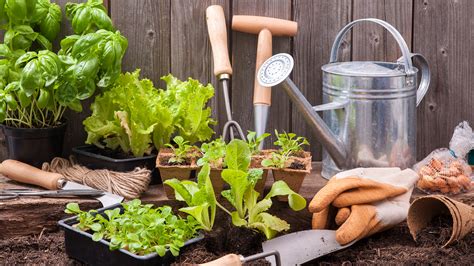 Gardening Tips 3 Things To Know When Planting