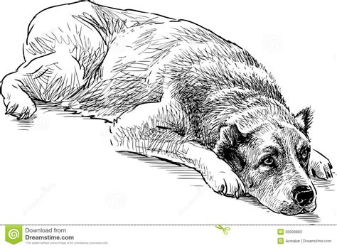 Sketch Of A Lying Dog Stock Vector Illustration Of Animal 50939883