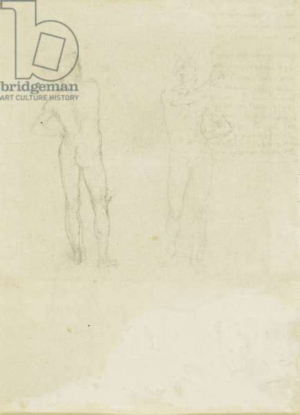Image Of Two Sketches Of Nude Men Seen From The Front And By Vinci