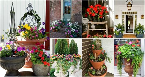 Amazing Front Door Container Gardening Ideas And Styling Tips