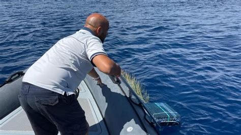 Lotta Alla Pesca Illegale Nuovi Controlli Sequestrati Due Fad A