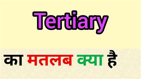 Tertiary Meaning In Hindi Tertiary Ka Matlab Kya Hota Hai Word