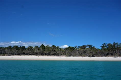 Fraser Island Die Highlights Auf Der Größten Sandinsel Der Welt