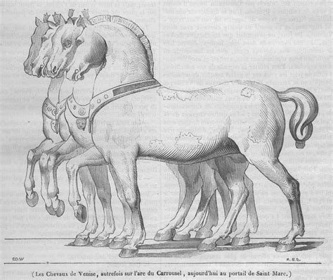 Horses San Marco Rawscan 2500×2103