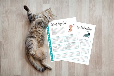 Cat Care Planner 27 Pages Pdf Printable Cat Care Sheets Etsy