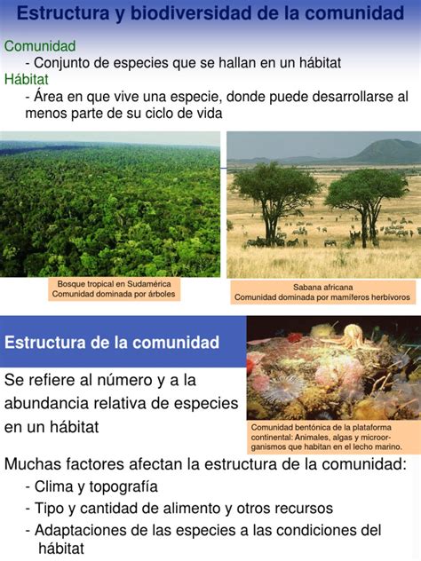 Ecología De Comunidades Estructura Y Biodiversidad Habitat Parasitismo