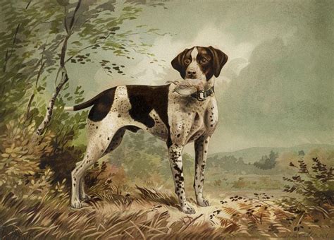 Hunting Dog Circa 1879 Painting By Aged Pixel Dog Paintings Dog