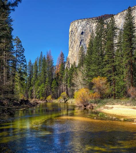 Merced River By David Fielding Merced River Winding Through Yosemite