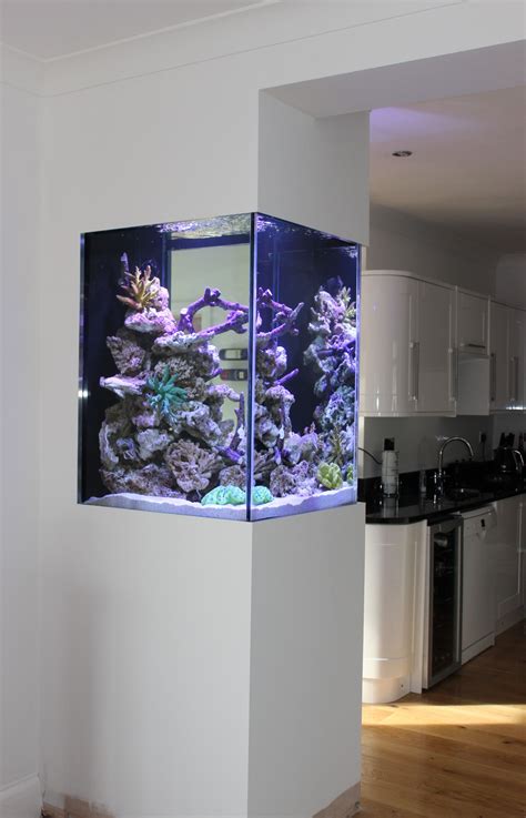 We Designed And Installed This Bespoke Marine Aquarium In The Kitchen