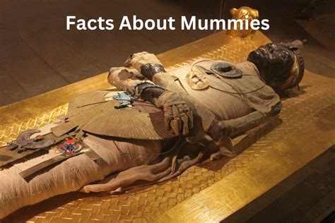 15 Facts About Mummies Have Fun With History