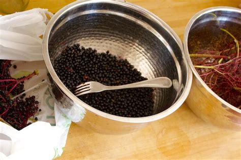 What To Do With Elderberries And Here We Are