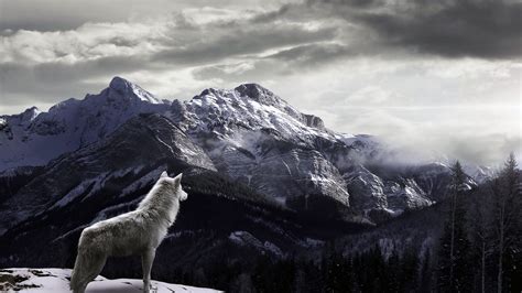 Black mountain wolf theme makes your smart phone home screen more personal! Pin by Lin Melissa on Wolf | Wolf wallpaper, Mountain wallpaper, Landscape poster
