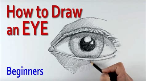 Human faces are not perfectly symmetrical. How to Draw a Human Eye (step by step) - YouTube