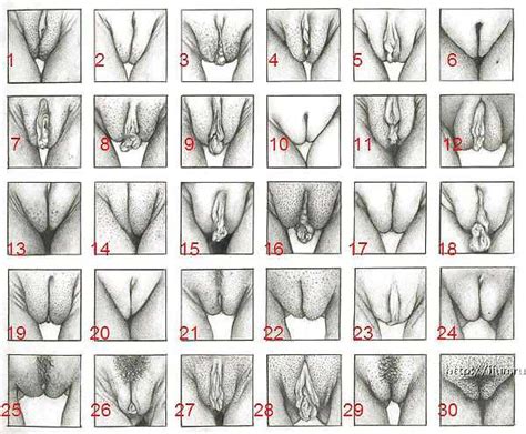 Choose Your Favorite Pussy