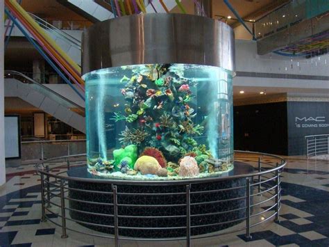 Acrylic Cylinder Aquarium Suzhou Xingcheng Aquarium Technology Coltd