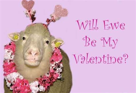 Will Ewe Be My Valentine Sheep That Quote Girlie The Sheep