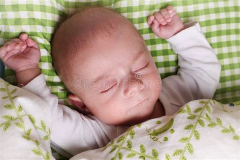 Baby Boy Sleeping Stock Photo Image Of Baby Bedding 37778484