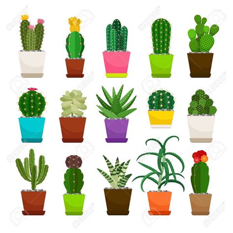 Cactus In Pot Clipart 20 Free Cliparts Download Images On Clipground 2023