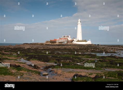 St Marys Lighthouse St Marys Island Tyne And Wear Stock Photo Alamy