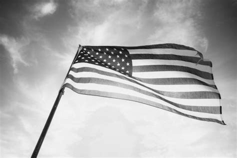 Top 60 Black And White American Flag Stock Photos Pictures And Images