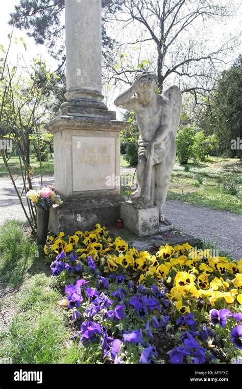 St Marxer Cemetery Gravestone Wolfgang Amadeur Mozart Grave Pansy