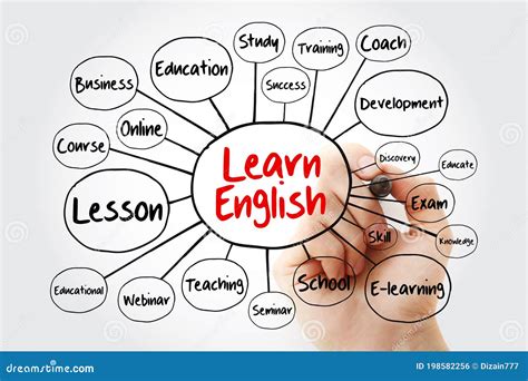 Learn English Mind Map Flowchart With Marker Education Concept For