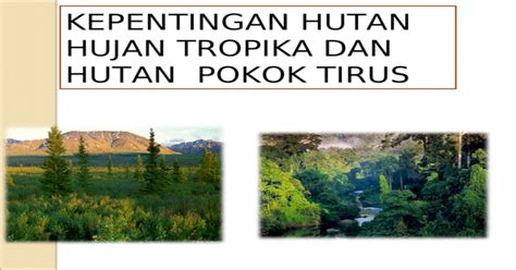 Check spelling or type a new query. Kepentingan Hutan Hujan Tropika Dan Hutan Pokok Tirus