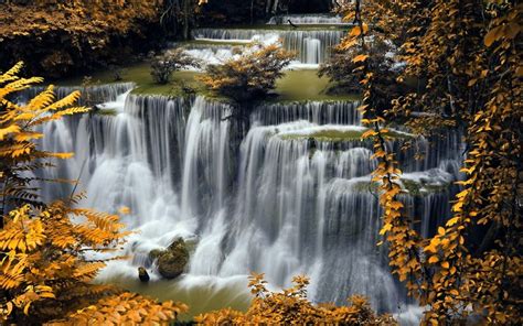 Download Wallpapers Autumn Waterfall River Autumn Leaves Yellow