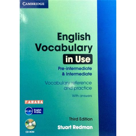 English Vocabulary In Use Pre Intermediate And Intermediate Book With