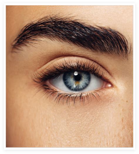 Eyebrow Transplant and Restoration Treatment in New York | Brow Surgery