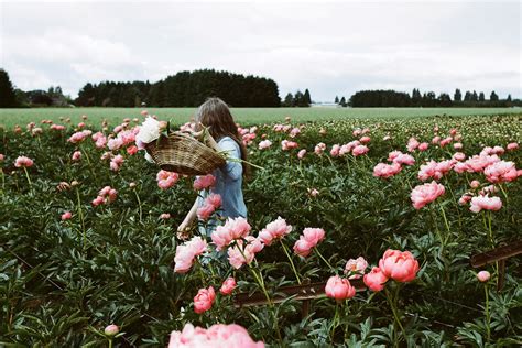 We did not find results for: A guide to plants to grow to give you cut flowers in ...