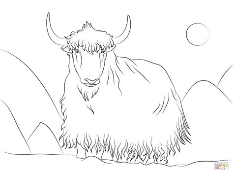 Yak Coloring Page Free Printable Coloring Pages