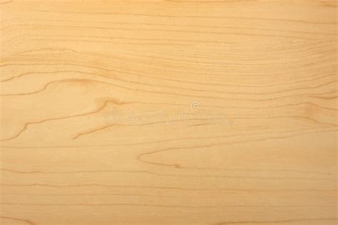 Light Maple Wood Texture