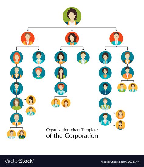 Organizational Chart Template Of The Corporation Vector Image