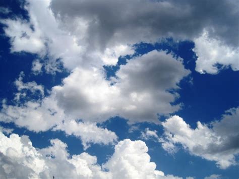 Loose White Clouds Free Stock Photo Public Domain Pictures