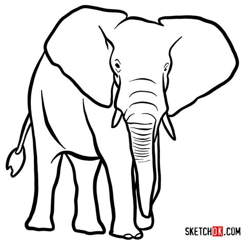 How To Draw An Elephant Front View Wild Animals Elephant Drawing