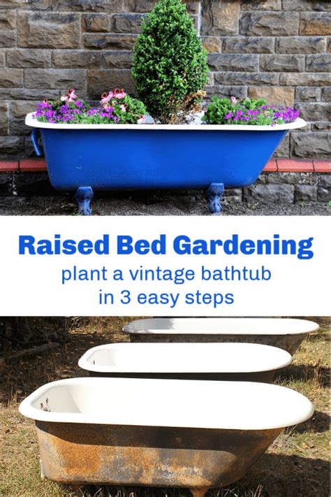 Before we talk about what bathtubs have become today, let's start by talking about where they came from. Easy Raised Bed Garden Idea: Plant a Vintage Bathtub ...