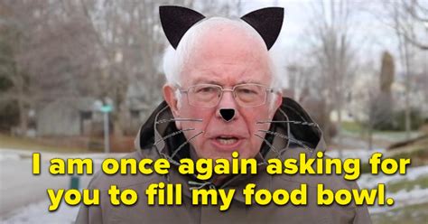 For reasons that we cannot quite put into words, the internet reacted in kind, quickly turning sanders into a meme that we've now dubbed i am once again asking. the meme is simple: Here Are The Best Bernie Sanders "I Am Once Again Asking ...