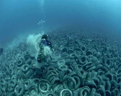 Ocean Pollution Tire On Ocean Floor Ustaxpayerswill