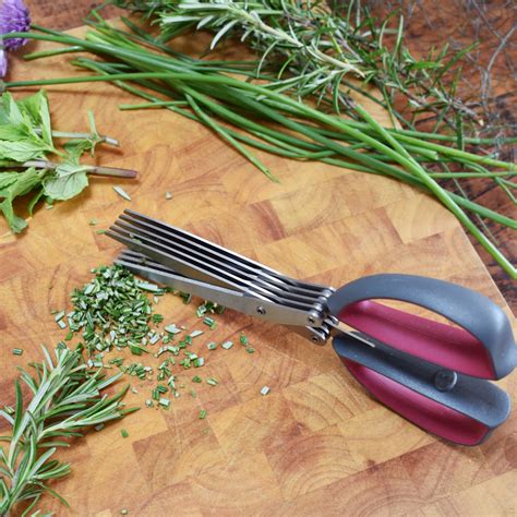 Multi Blade Herb Scissors Kent And Stowe Garden Health