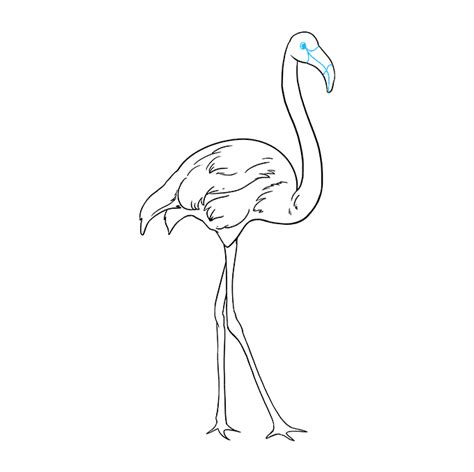 Drawing line flamingo vectors (580). How to Draw a Flamingo - Really Easy Drawing Tutorial