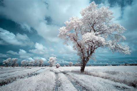 Magical Landscapes Infrared Poland On Behance