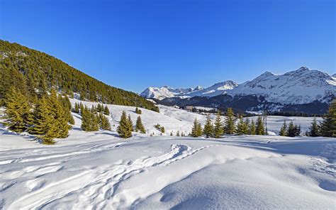 Download Wallpaper 3840x2400 Trees Mountains Snow Winter Landscape