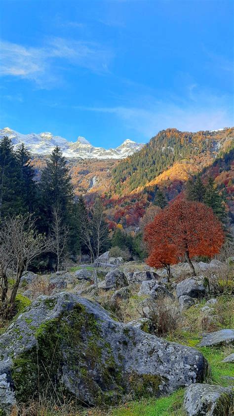 Bagni Di Masino In Autunno La Foresta Magica E Il Foliage In Lombardia