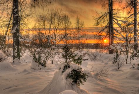 Nature Winter Sunset Sun Sky Clouds White Landscape