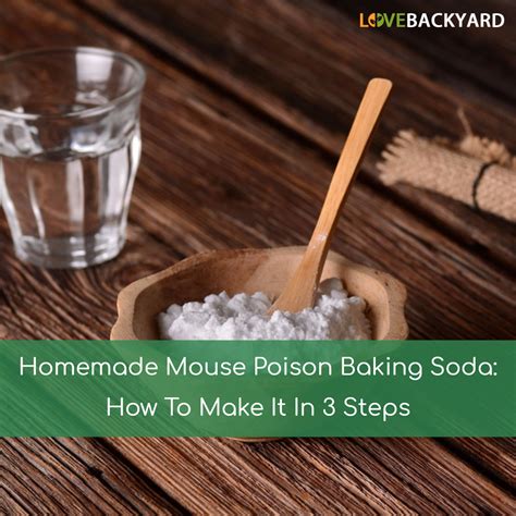 If you don't need to buy a whole bucket of bait, you can opt for poison in smaller packs. Homemade Mouse Poison Baking Soda: How To Make It In 3 ...