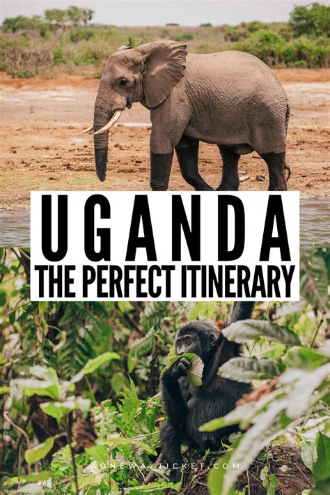 Uganda Itinerary How To Visit The Pearl Of Africa A One Way Ticket