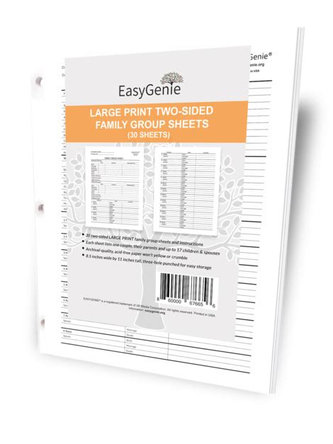 EasyGenie Large Print Two-Sided Family Group Sheets (30 sheets) - AmericanAncestors.org