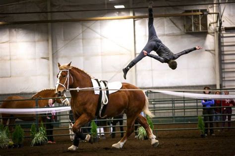 Equestrian Vaulting Dance And Gymnastics Horseback Vaulting